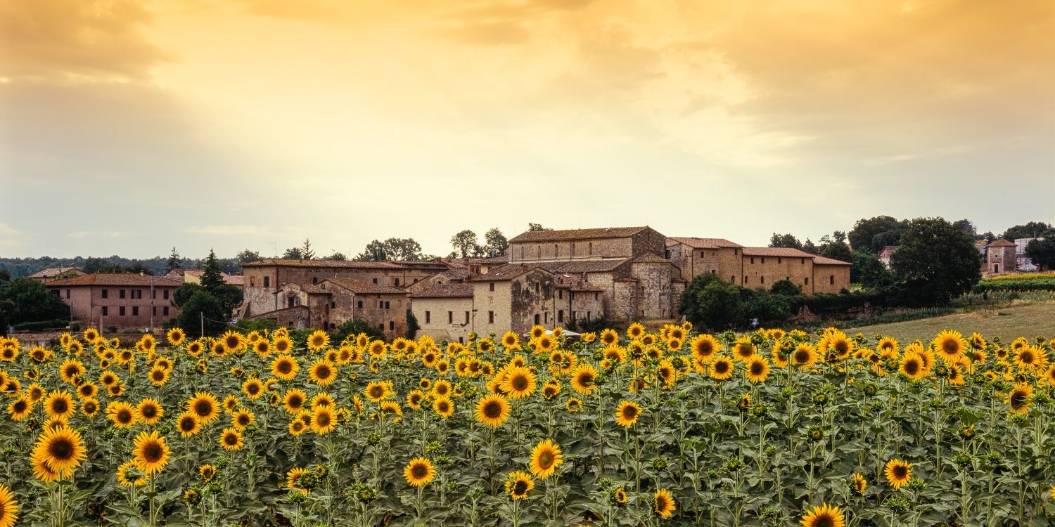 Tuscany Private And Group Tours - Made Of Tuscany